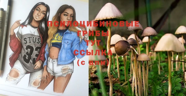 тгк Алексин
