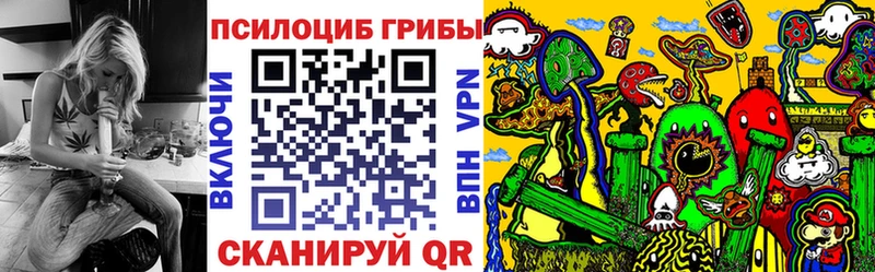 blacksprut онион  Ардатов  Галлюциногенные грибы мицелий 